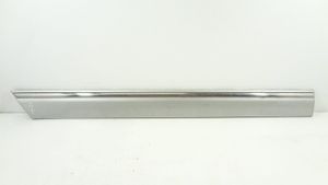 Mercedes-Benz C W203 Rivestimento portiera posteriore (modanatura) 