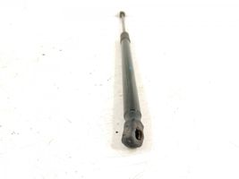 Mercedes-Benz C W205 Tailgate strut 