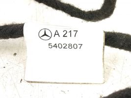 Mercedes-Benz S C217 Cablaggio porta anteriore 