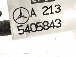 Mercedes-Benz E W213 Wiązka przewodów drzwi przednich 2135405843