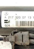 Mercedes-Benz S C217 Ammortizzatore posteriore DALISID4866