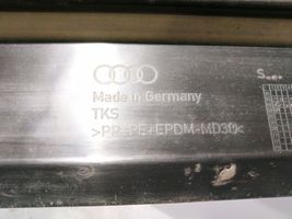 Audi Q7 4M Slieksnis 