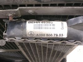 Mercedes-Benz C W202 Aušinimo skysčio radiatorius 