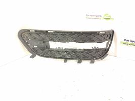 Mercedes-Benz E W212 Grille inférieure de pare-chocs avant DALISID3024