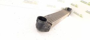 Mercedes-Benz A W169 Radiatore intercooler 