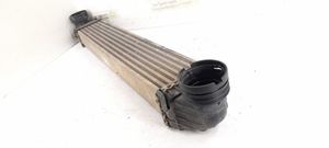 Mercedes-Benz A W169 Radiatore intercooler 