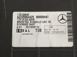 Mercedes-Benz S W222 B-pilarin verhoilu (alaosa) DALISID3836