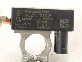 Mercedes-Benz S C217 Autres faisceaux de câbles 
