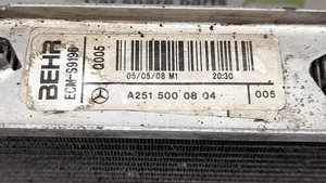 Mercedes-Benz R W251 Jäähdyttimen lauhdutin 
