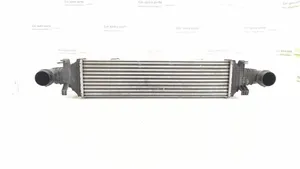 Mercedes-Benz CLS C218 X218 Starpdzesētāja radiators 