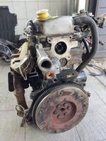 Ford Escort Moteur LY1