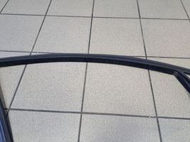 Ford Focus Rubber seal front door window/glass D1M2A