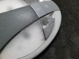 Mercedes-Benz E W211 Rivestimento della console di illuminazione installata sul rivestimento del tetto A2118202001