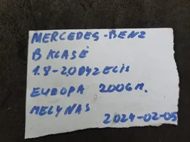 Mercedes-Benz B W245 Motorino attuatore aria 412650750