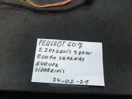 Peugeot 607 Etuoven sähköinen sivupeili 50128