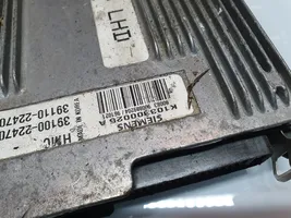 Hyundai Accent Sterownik / Moduł ECU 3910022470