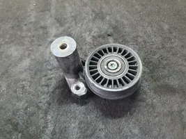 Volkswagen PASSAT B5.5 Tendicinghia generatore/alternatore F23470909