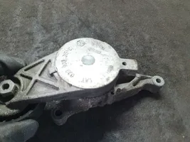 Volkswagen Touran I Napinacz paska alternatora 03G903315C