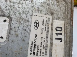 Hyundai Sonata Sterownik / Moduł ECU 3910025100