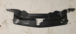 Ford Thunderbird Radiator trim 