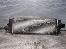 Opel Vivaro Intercooler radiator 93854162