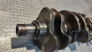 Volkswagen Transporter - Caravelle T4 Crankshaft 1438