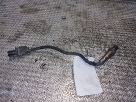 Citroen Berlingo Sonde lambda 9687161080