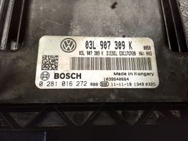 Volkswagen Transporter - Caravelle T5 Calculateur moteur ECU 03L907309K