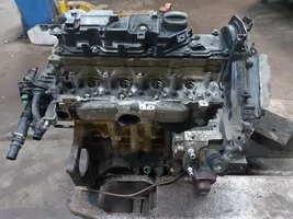 Citroen Berlingo Engine DV6DTED