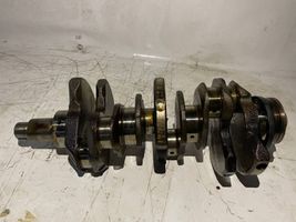 Nissan Pathfinder R51 Crankshaft 