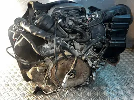 Audi S5 Motor CAL