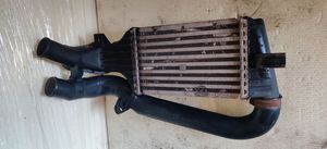 Fiat Sedici Radiatore intercooler 24436438DF1