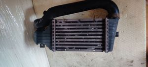 Fiat Sedici Radiatore intercooler 24436438DF1