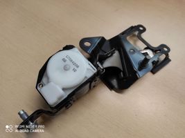 Honda Accord Pas bezpieczeństwa fotela tylnego środkowego C7084208