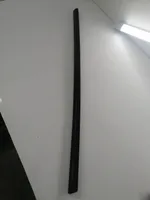 Tesla Model Y Rivestimento della portiera anteriore (modanatura) 149571000D