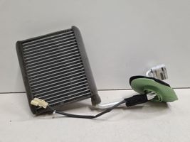 Nissan Leaf I (ZE0) Radiateur soufflant de chauffage 102423011124