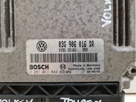 Volkswagen Touran I Calculateur moteur ECU 03G906016DR