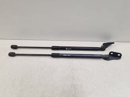 Suzuki Swift Tailgate/trunk strut/damper 3439TZ0410N