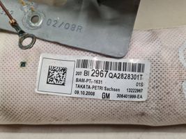 Opel Insignia A Side airbag 13222967