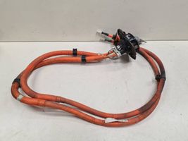 Peugeot iOn Ladekabel für Elektroautos 