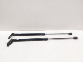 Nissan Murano Z51 Tailgate/trunk strut/damper 91845550N