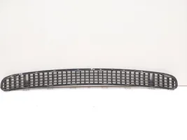 BMW 3 E46 Grille calandre de capot 51137075312