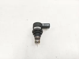 BMW 3 E46 Fuel pressure sensor 0281002481