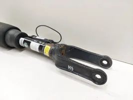 Mercedes-Benz R W251 Front air suspension shock absorber A1645406610