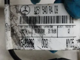 Mercedes-Benz R W251 Schowek deski rozdzielczej / Komplet A2516800291