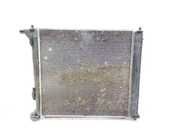 KIA Sportage Dzesēšanas šķidruma radiators 25310d7000