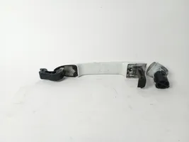 Renault Scenic RX Front door exterior handle 806B02596R