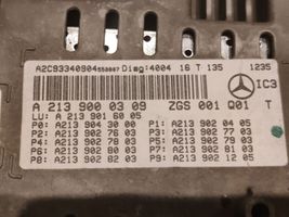 Mercedes-Benz E W213 Nopeusmittari (mittaristo) A2139000309