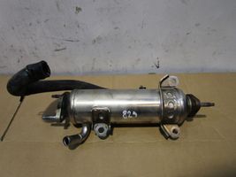 Opel Antara EGR-venttiili/lauhdutin 96817828