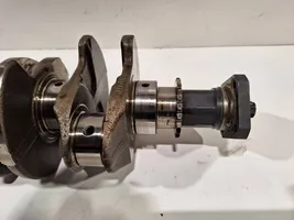 Fiat Tipo Crankshaft 